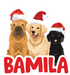 Bamila Pet Shop