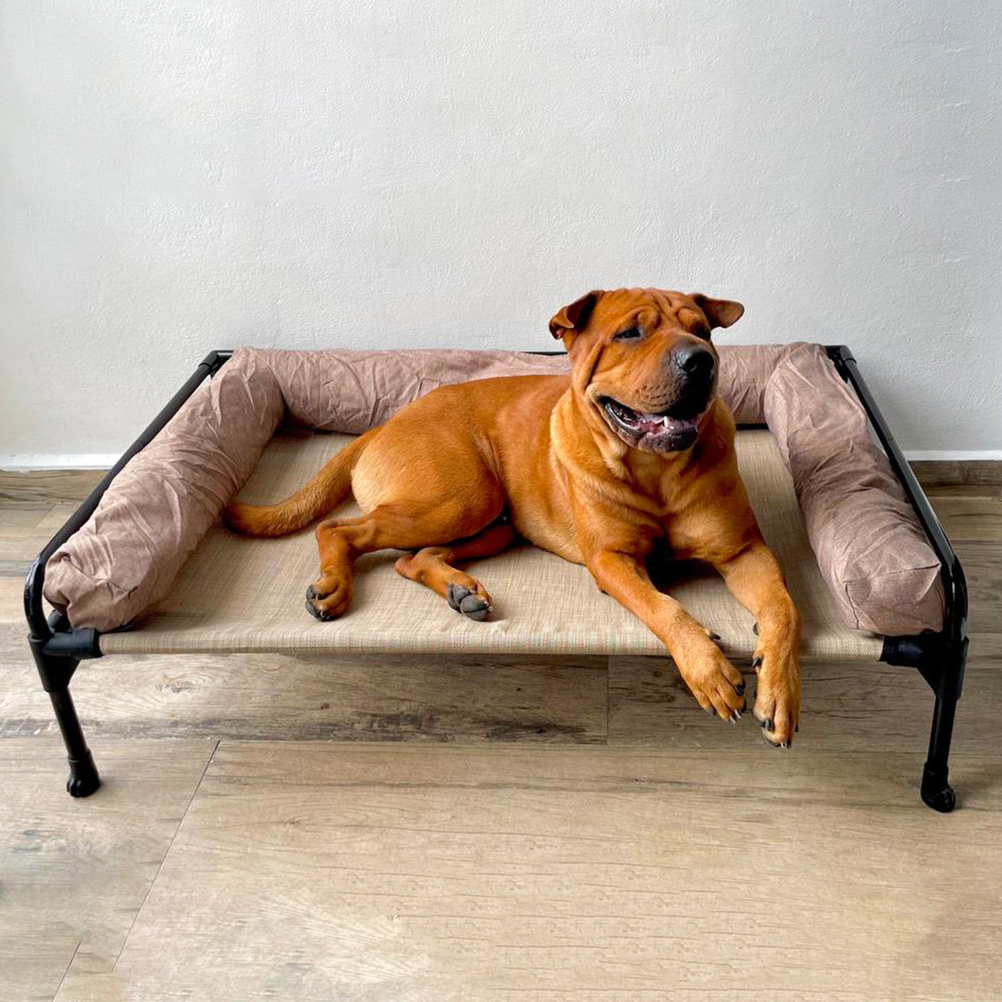 Cama Elevada con Cojín Ortopédico