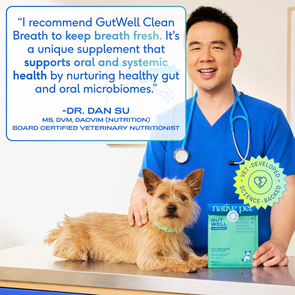 Gut Well Clean Breath