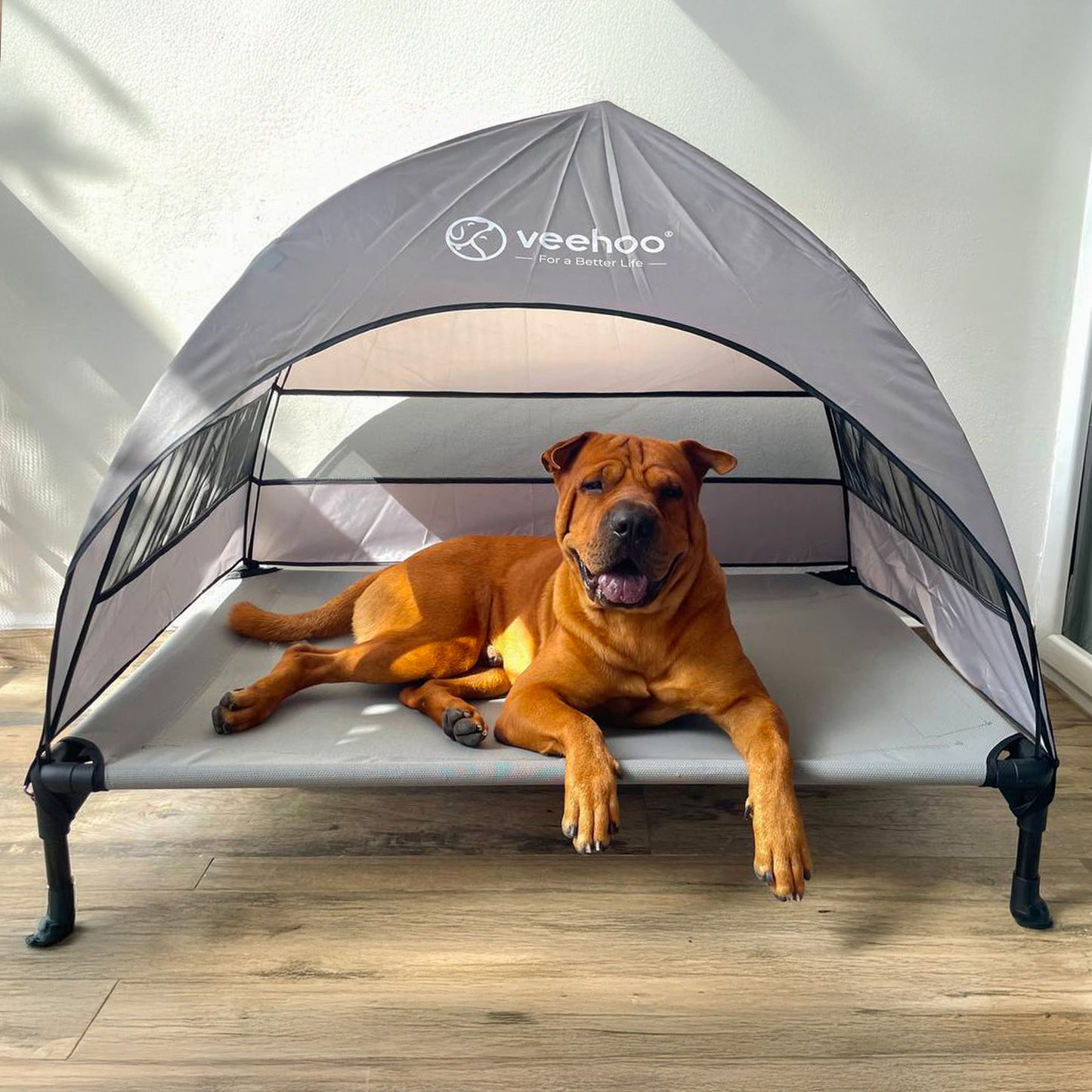 Cama Elevada con Toldo