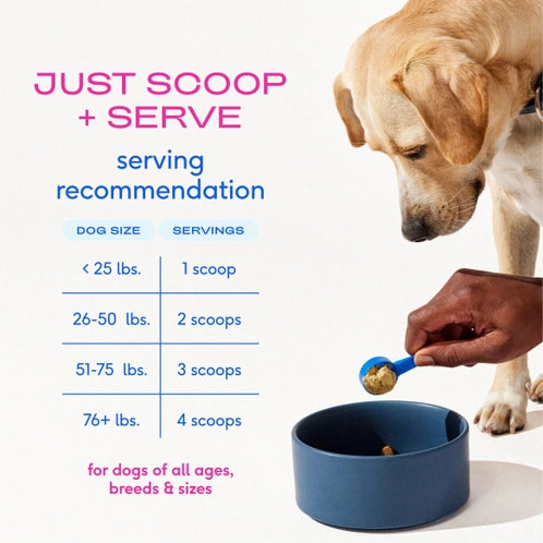 Hip + Joint Advance Care