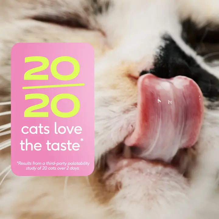 Hairball Chews