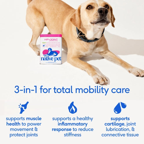 Hip + Joint Advance Care