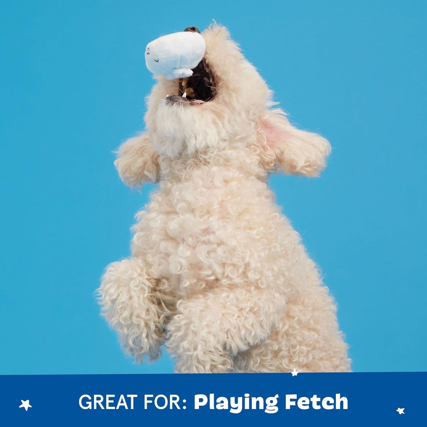 Dumplings Juguete Chirriante