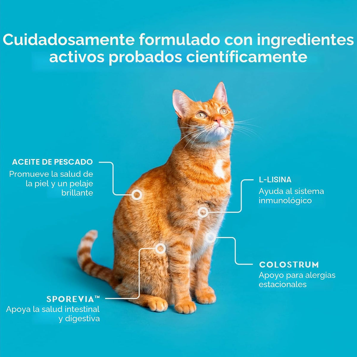 Allergy Pro + Treats para gatos