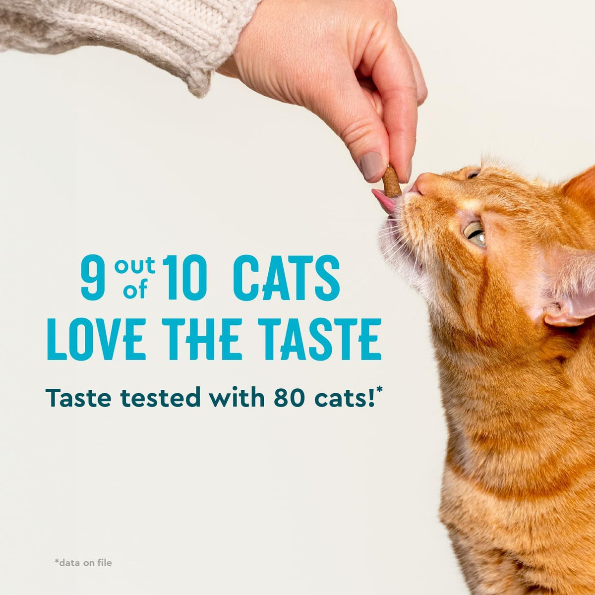 Hairball Treats