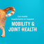 Hip & Joint para gatos