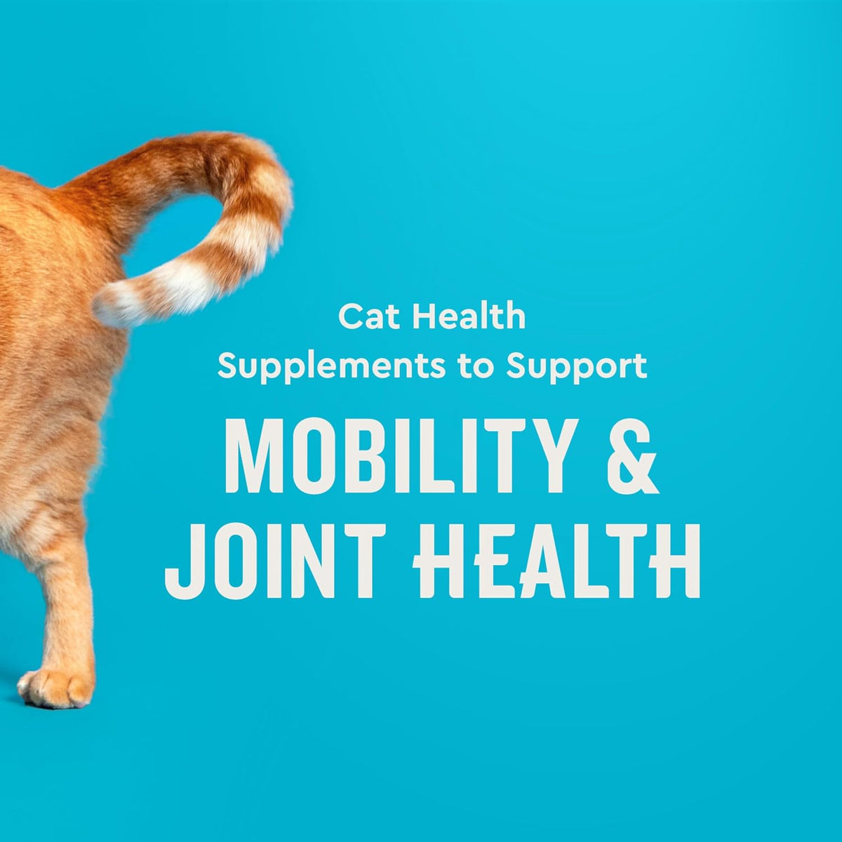 Hip & Joint para gatos
