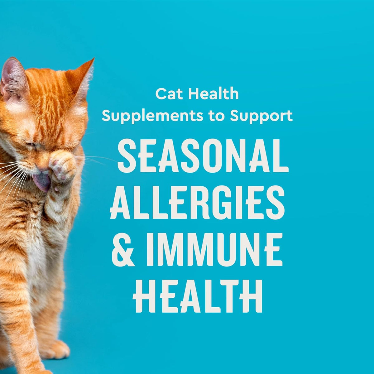 Allergy Pro + Treats para gatos