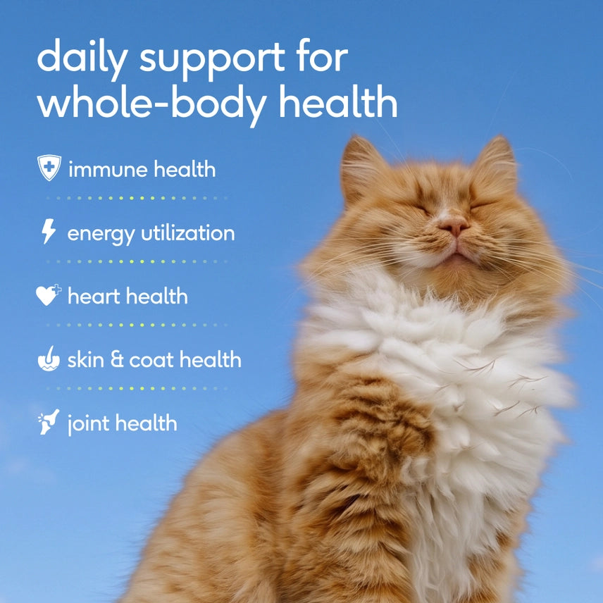 Multivitamin