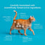 Probioticos para gatos