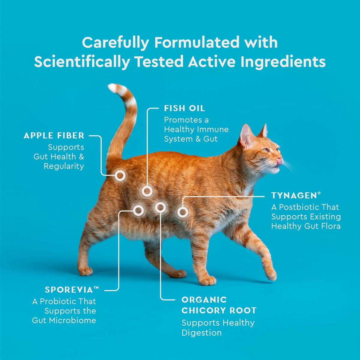 Probioticos para gatos