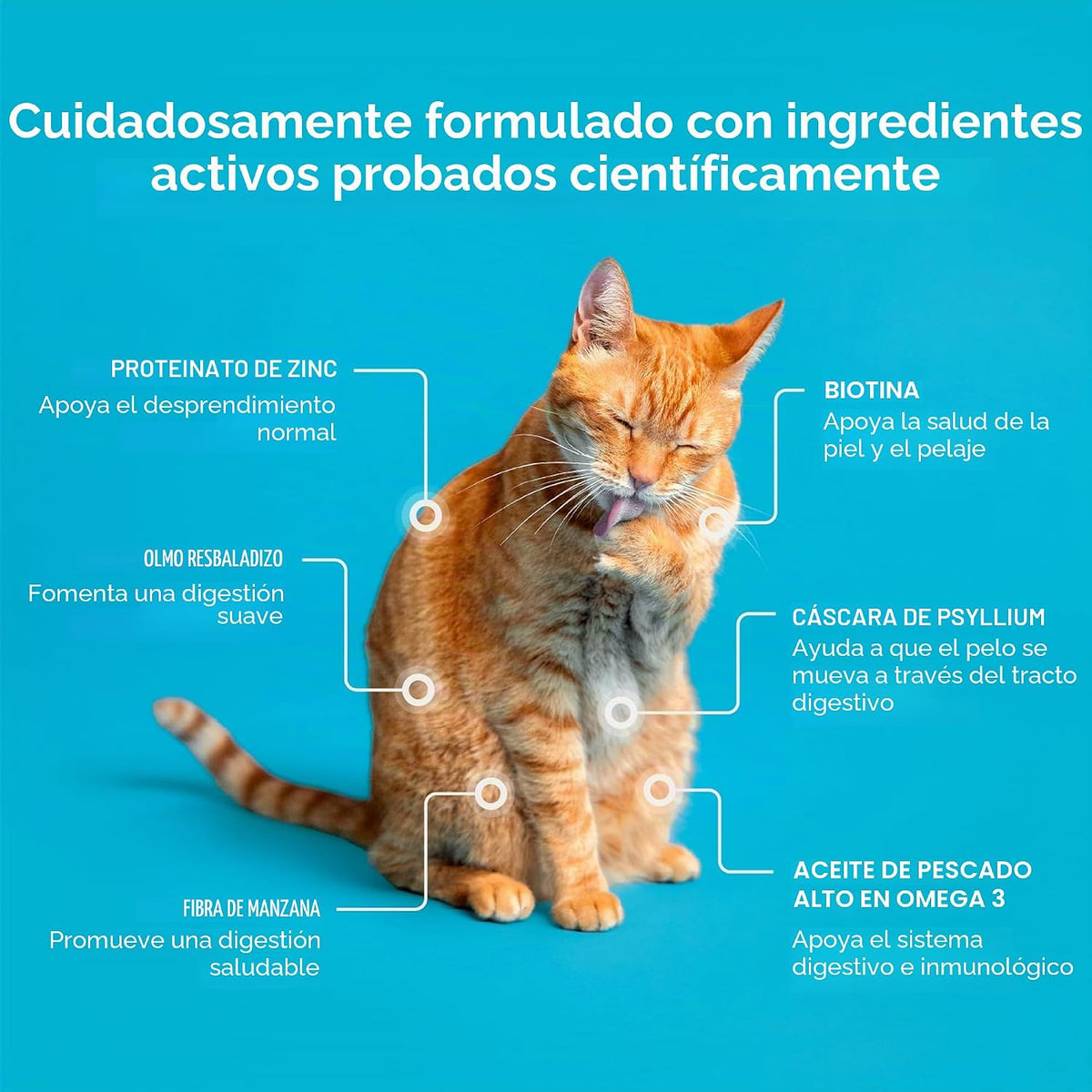Hairball Treats