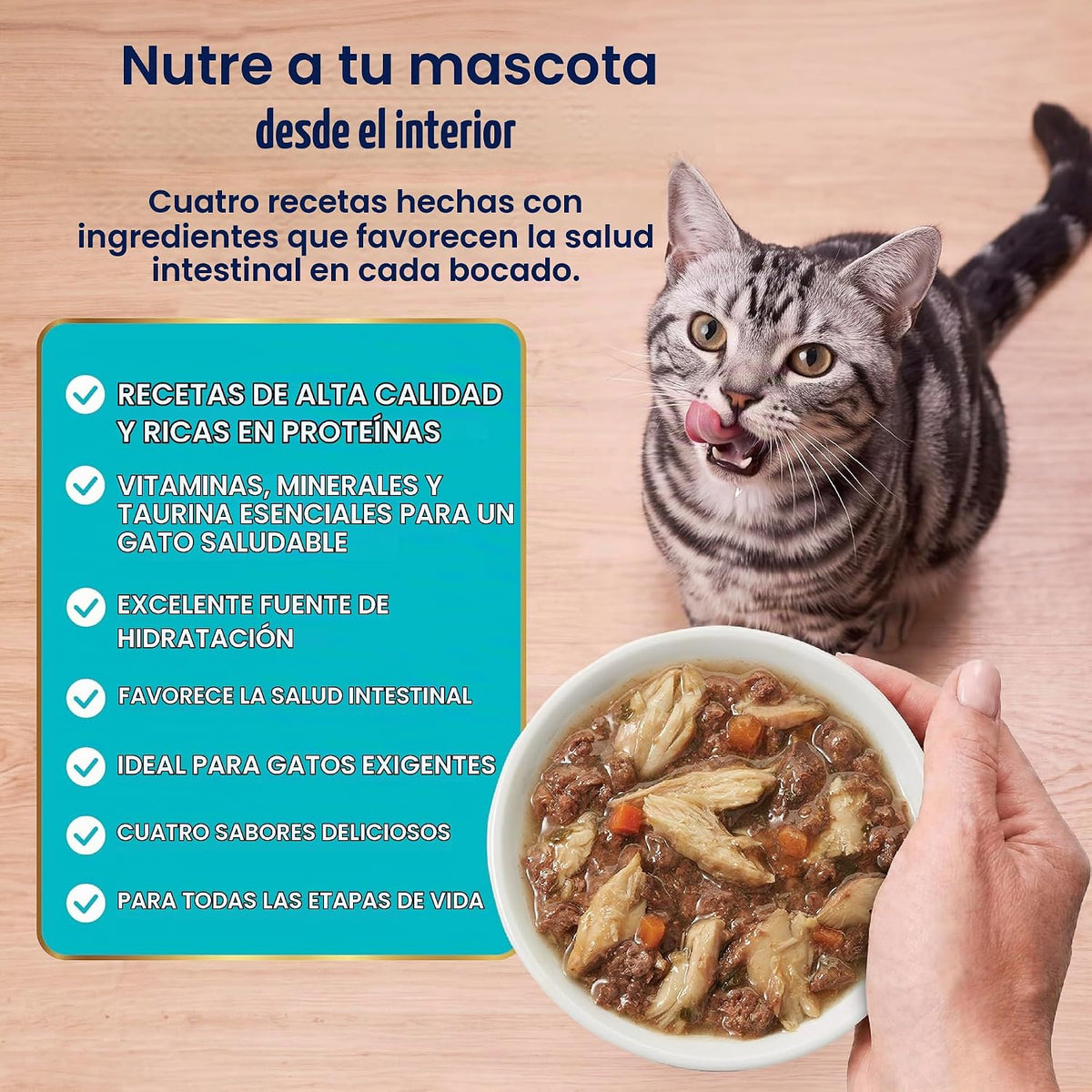 Solid Gold Comida Húmeda para Gatos