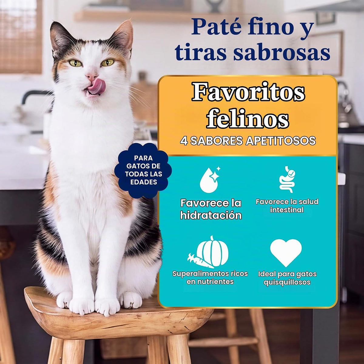 Solid Gold Comida Húmeda para Gatos