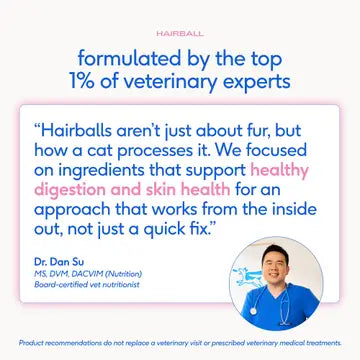 Hairball Chews