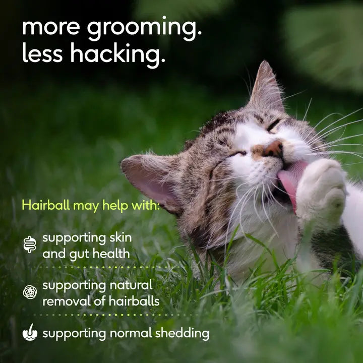 Hairball Chews