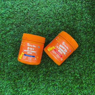 Allergy & Immune Bites