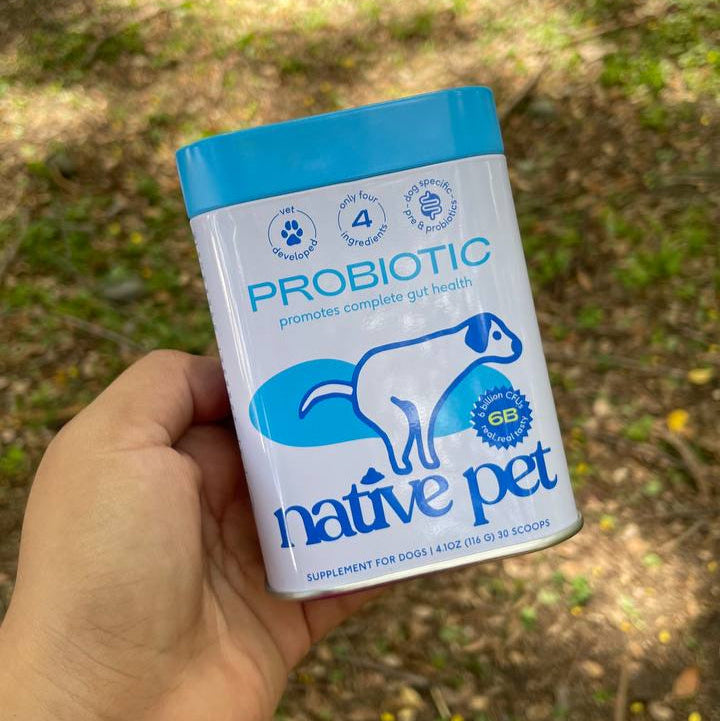 Probioticos