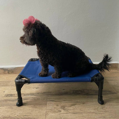 Cama Elevada Pequeña