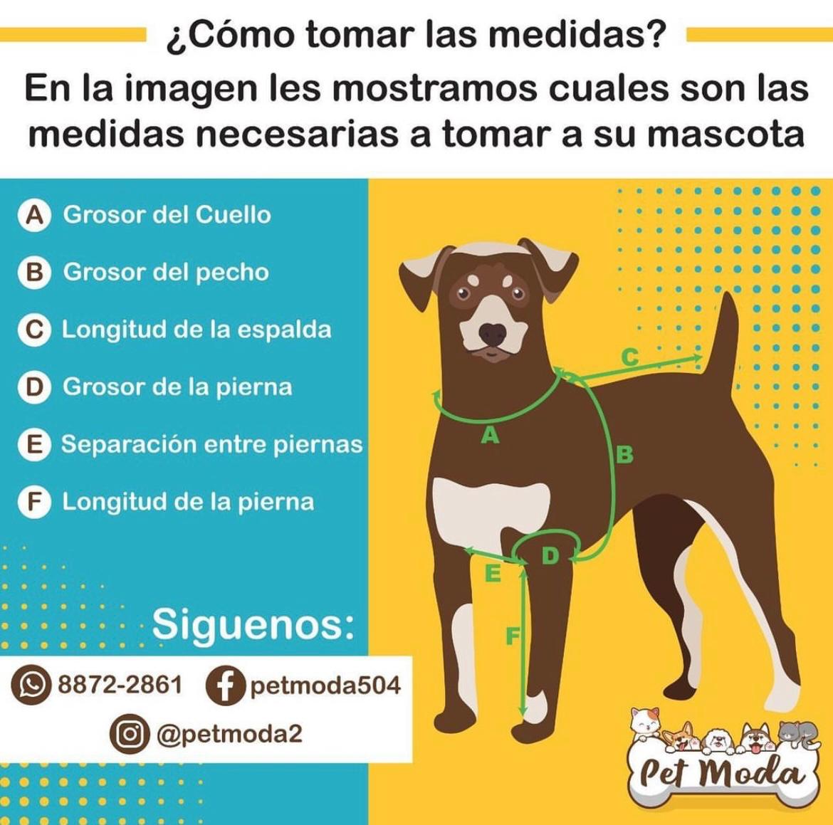 Vestido de estrellas con ruedo acolchado