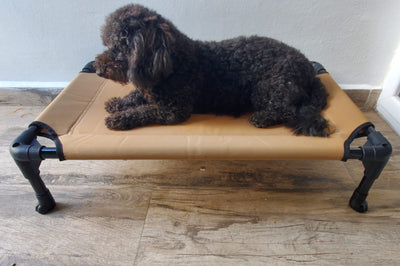 Cama Elevada Pequeña