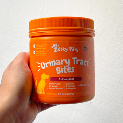 Urinary Tract Bites for Dogs