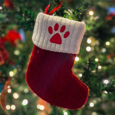 Botita Clásica con Huella