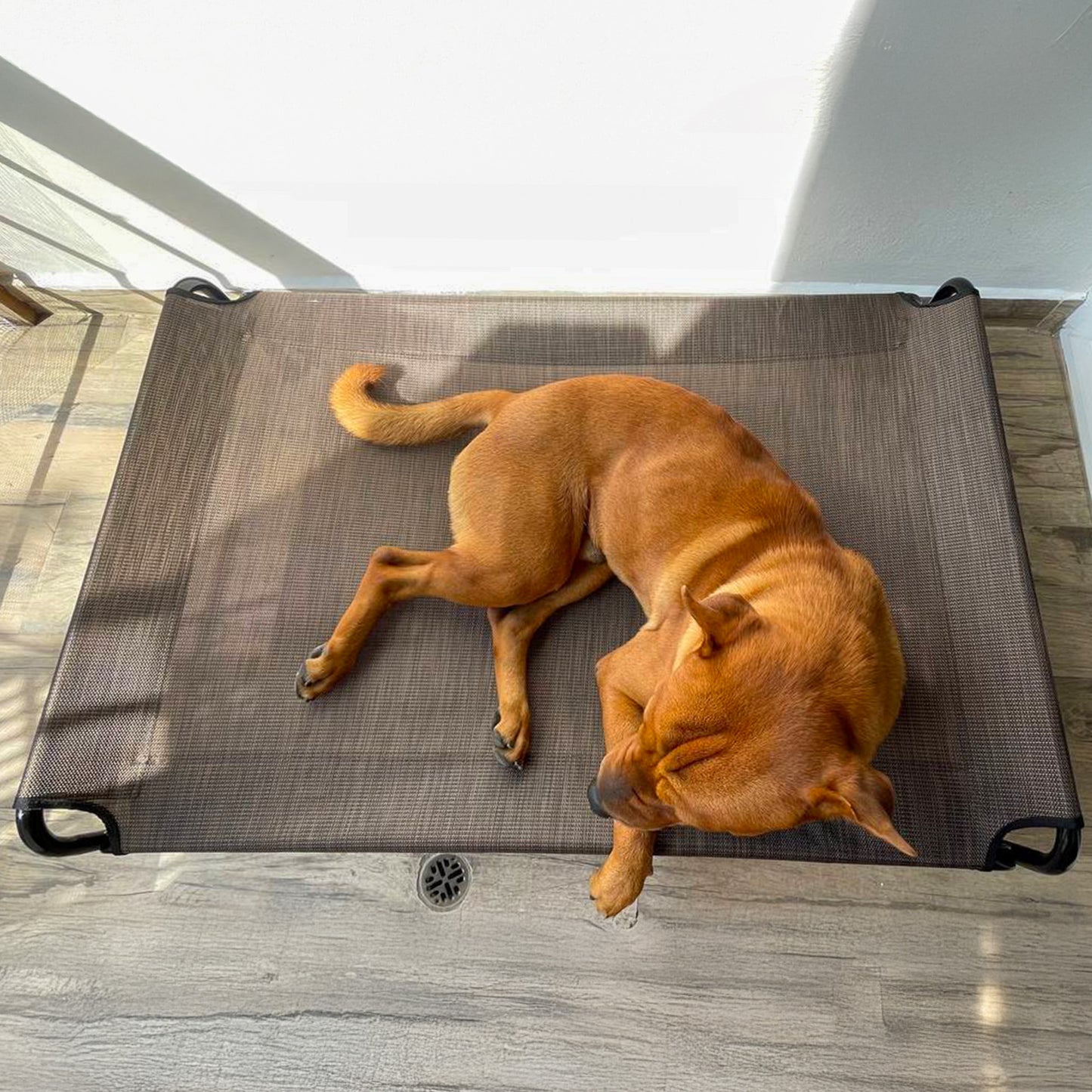 Cama Elevada Clásica