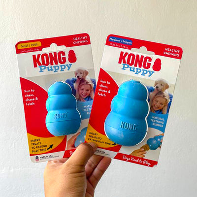 Kong Puppy