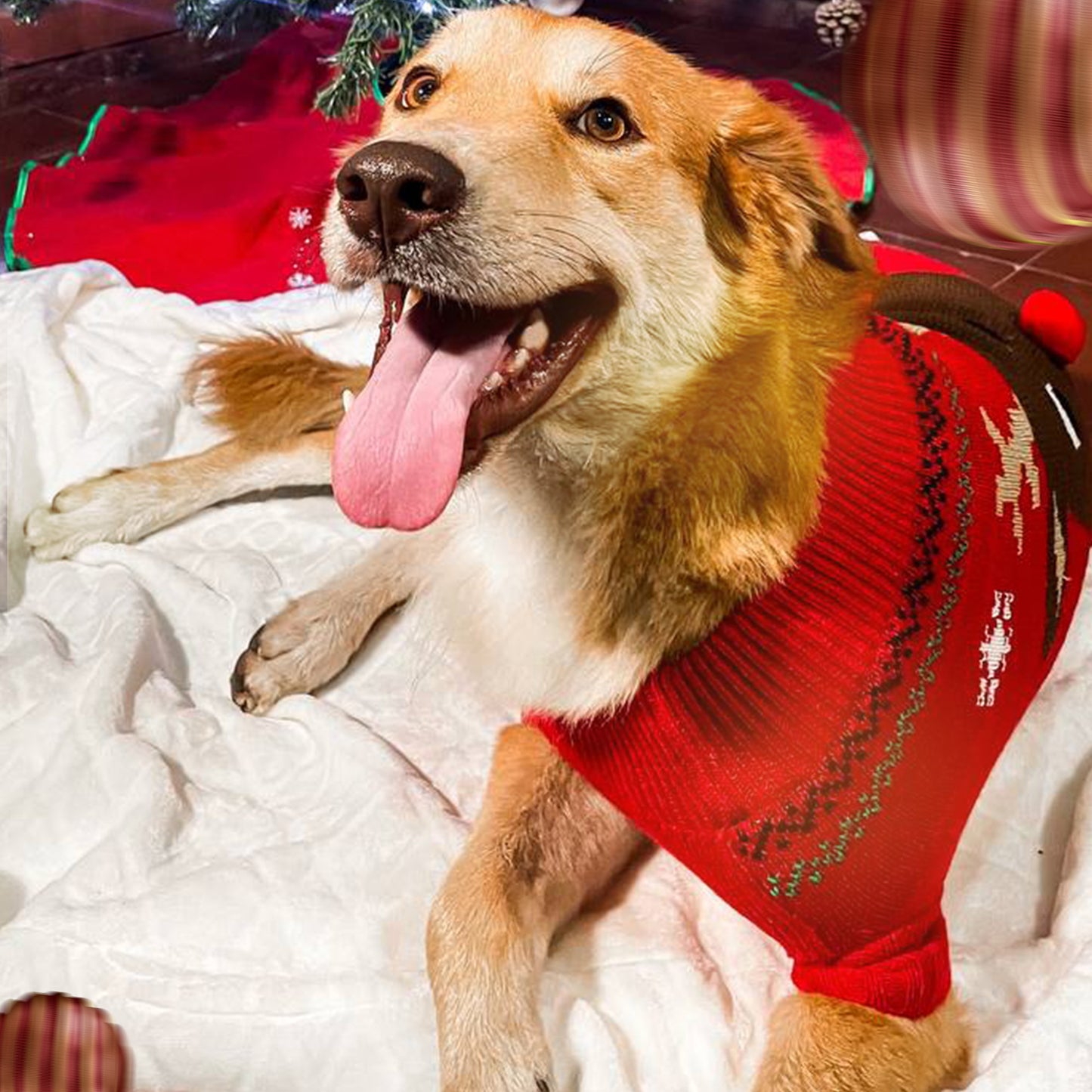 Ugly Sweater Reinder