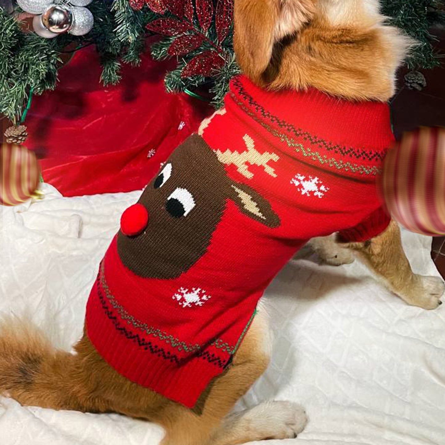 Ugly Sweater Reinder