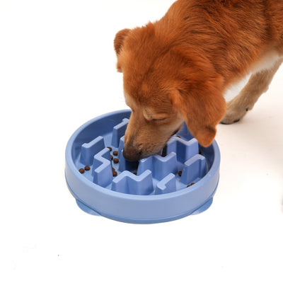 Plato Alimentacion Lenta