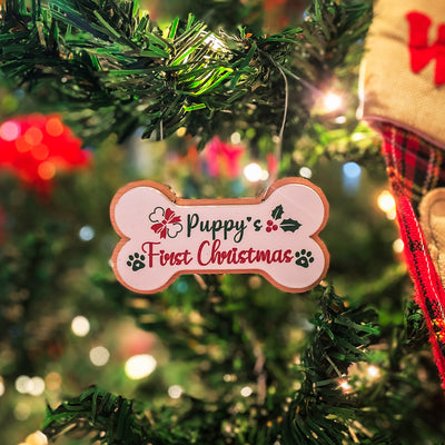 Huesito Puppy First Christmas