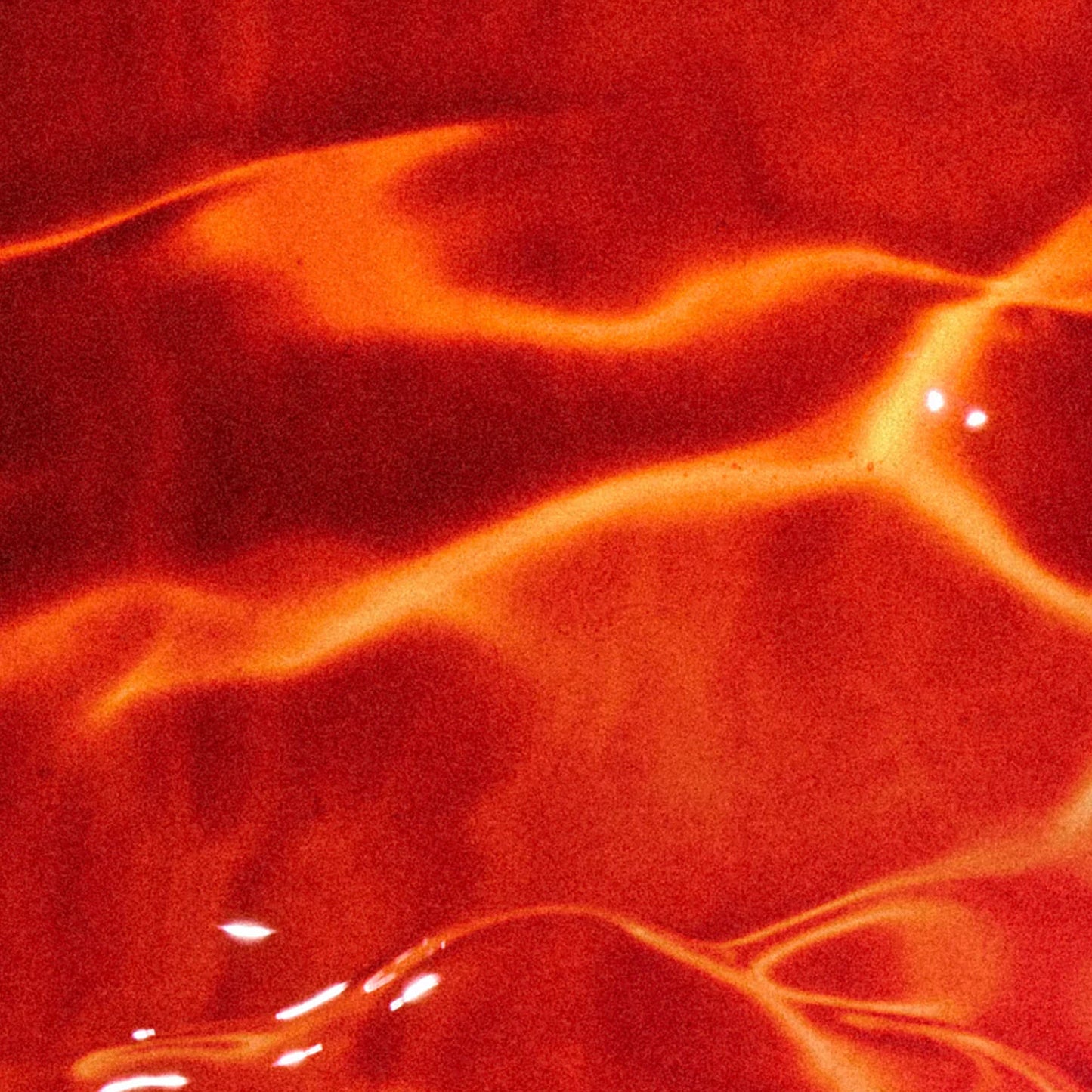 Aceite de Salmón Rojo de Alaska