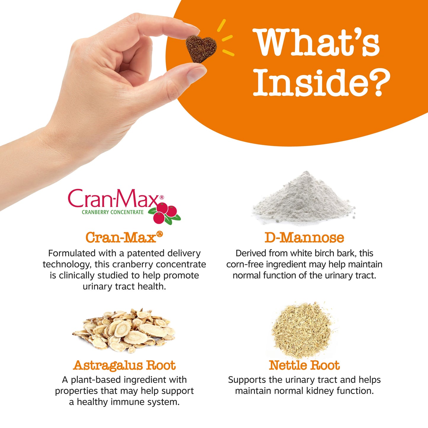 Urinary Tract Bites for Dogs